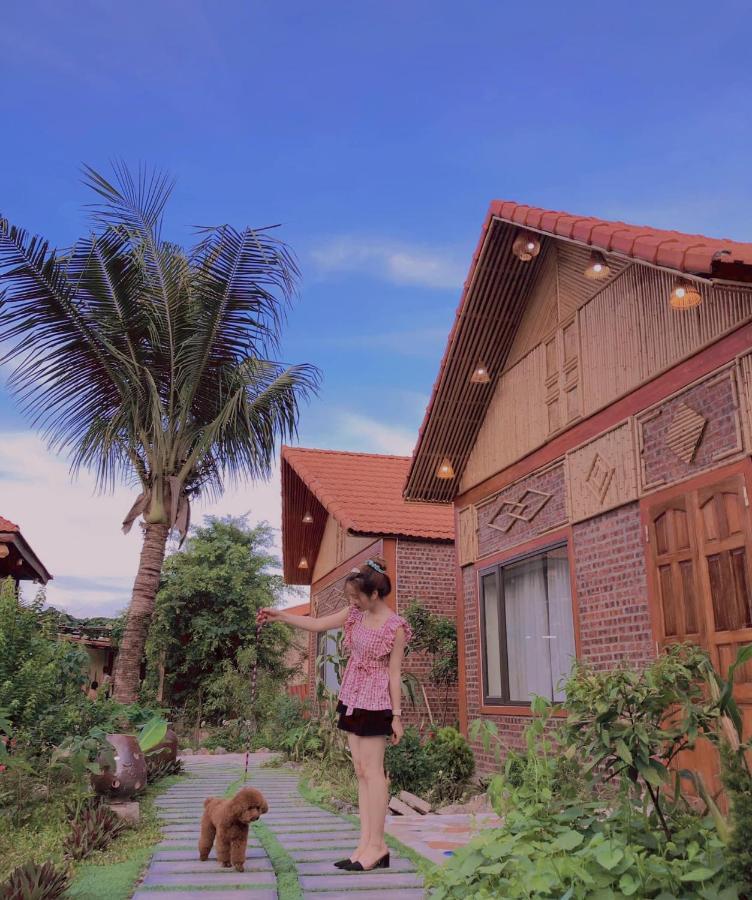 Trang An Lighthouse Homestay 宁平 外观 照片